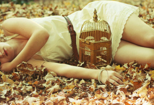 Девушка в белом коротком платье с коричневым ремешком лежит в осенних листьях вместе с клеткой для птиц.