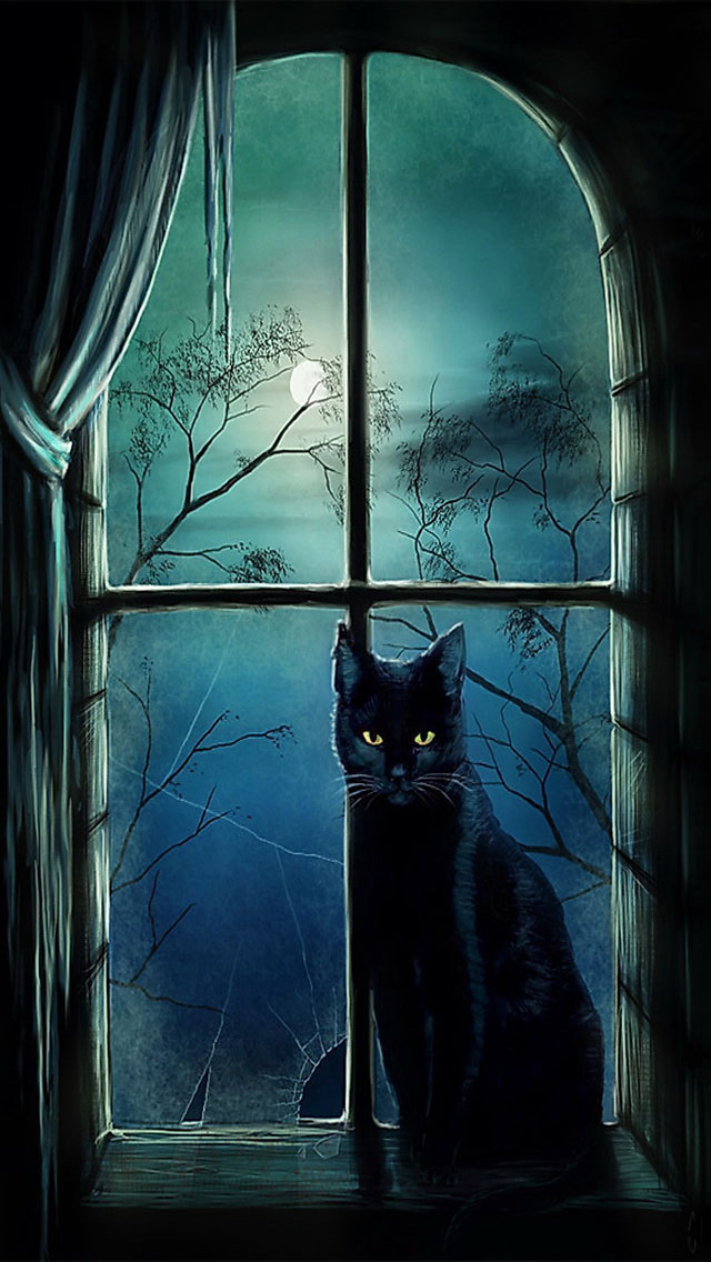 черный кот сидит на подоконнике ночью