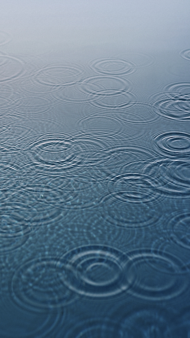 круги на воде от дождя
