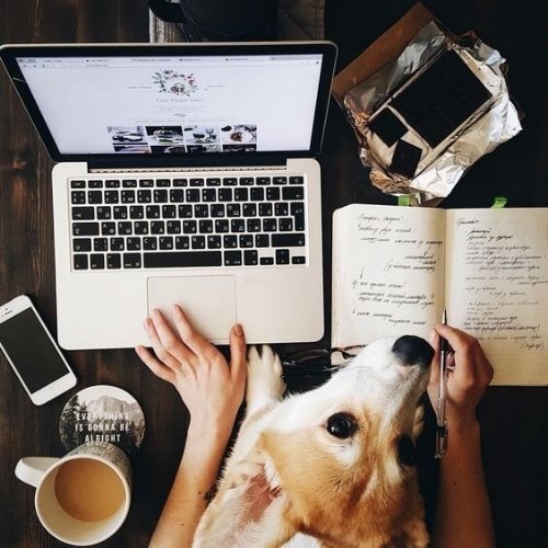 Девушка с собакой на руках работает дома на ноутбуке, записывая информацию в тетрадь и угощаясь шоколадкой