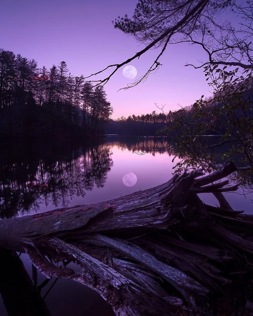 Полная луна отражается в озере, красивое фиолетовое небо