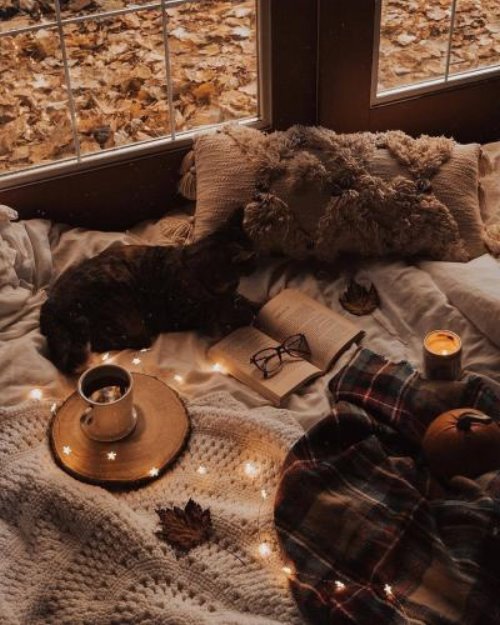 Осенний уют на подоконнике: кошка, книжка, кофе и листья