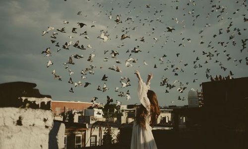 Девушка на крыше без лица и стая голубей