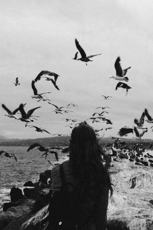 Девушка спиной на море с летящими чайками